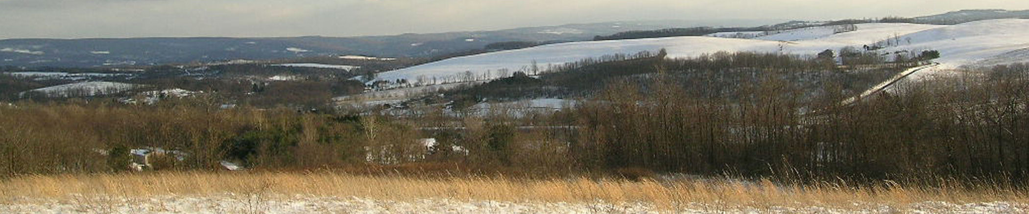 Winter at The Primrose Path
